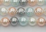 CSB336 15.5 inches 10mm round mixed color shell pearl beads