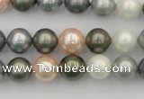 CSB338 15.5 inches 10mm round mixed color shell pearl beads