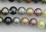 CSB339 15.5 inches 10mm round mixed color shell pearl beads