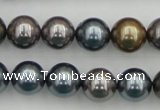 CSB366 15.5 inches 12mm round mixed color shell pearl beads