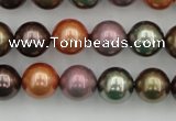 CSB368 15.5 inches 12mm round mixed color shell pearl beads