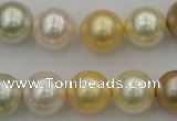 CSB372 15.5 inches 14mm round mixed color shell pearl beads