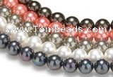 CSB38 16 inches 10mm round shell pearl beads Wholesale