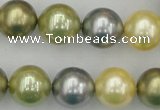 CSB380 15.5 inches 14mm round mixed color shell pearl beads