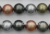 CSB382 15.5 inches 14mm round mixed color shell pearl beads