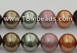 CSB383 15.5 inches 14mm round mixed color shell pearl beads