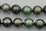 CSB385 15.5 inches 14mm round mixed color shell pearl beads