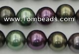 CSB386 15.5 inches 14mm round mixed color shell pearl beads