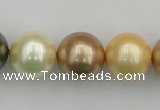 CSB394 15.5 inches 16mm round mixed color shell pearl beads