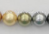 CSB395 15.5 inches 16mm round mixed color shell pearl beads