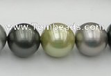 CSB398 15.5 inches 16mm round mixed color shell pearl beads