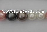 CSB408 15.5 inches 8mm - 16mm round mixed color shell pearl beads