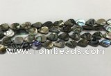 CSB4135 15.5 inches 8*12mm flat teardrop abalone shell beads