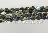 CSB4136 15.5 inches 10*14mm flat teardrop abalone shell beads