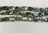 CSB4155 15.5 inches 13*18mm rectangle abalone shell beads wholesale