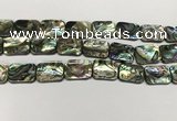 CSB4156 15.5 inches 15*20mm rectangle abalone shell beads wholesale