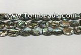 CSB4161 15.5 inches 12*16mm flat drum abalone shell beads wholesale