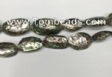 CSB4179 15.5 inches 13*30mm - 15*35mm freeform abalone shell beads