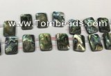 CSB4192 Top drilled 13*18mm rectangle double drilled balone shell beads