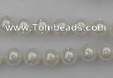 CSB425 15.5 inches 8mm round shell pearl with rhinestone beads