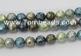 CSB529 15.5 inches 6mm faceted round mixed color shell pearl beads