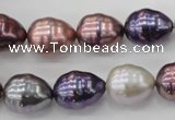 CSB553 15.5 inches 12*15mm whorl teardrop mixed color shell pearl beads