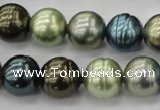 CSB623 15.5 inches 14mm whorl round mixed color shell pearl beads