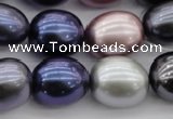 CSB680 15.5 inches 16*19mm oval mixed color shell pearl beads