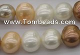 CSB695 15.5 inches 13*15mm oval mixed color shell pearl beads