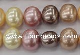 CSB699 15.5 inches 13*15mm oval mixed color shell pearl beads