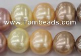 CSB715 15.5 inches 16*19mm oval mixed color shell pearl beads