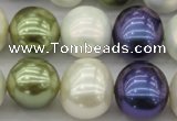 CSB717 15.5 inches 16*19mm oval mixed color shell pearl beads