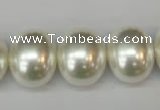 CSB826 15.5 inches 16*19mm oval shell pearl beads wholesale