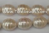 CSB885 15.5 inches 13*16mm whorl teardrop shell pearl beads wholesale