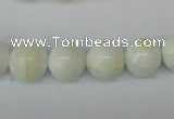 CSB954 15.5 inches 12mm round shell pearl beads wholesale