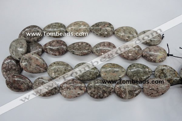 CSF04 15.5 inches 22*30mm flat teardrop shell fossil jasper beads