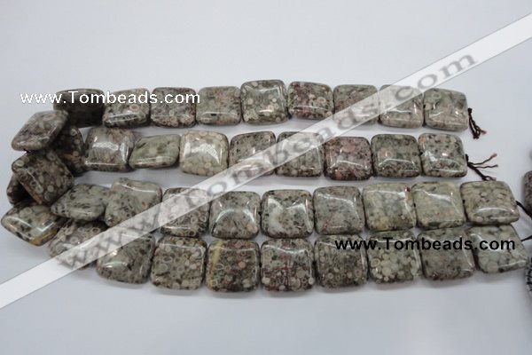 CSF06 15.5 inches 20*20mm square shell fossil jasper beads