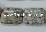 CSF09 15.5 inches 18*25mm rectangle shell fossil jasper beads