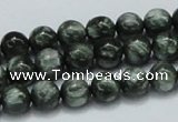 CSH02 15.5 inches 8mm round natural seraphinite gemstone beads