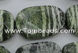 CSJ127 15.5 inches 20*30mm faceted freeform green silver line jasper beads