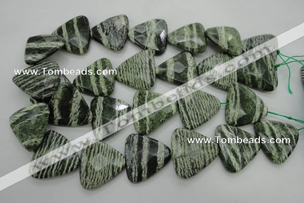 CSJ130 15.5 inches 30*30mm faceted triangle green silver line jasper beads