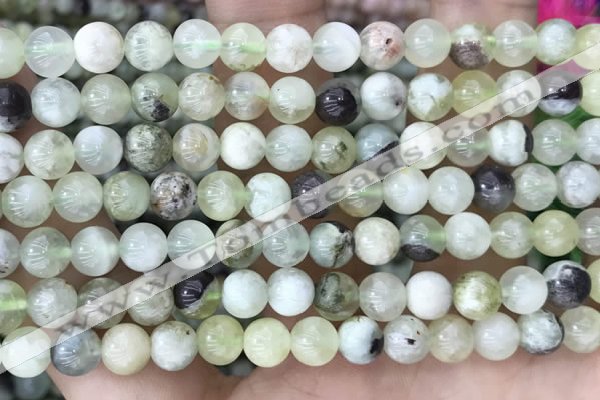 CSJ301 15.5 inches 6mm round serpentine new jade beads wholesale