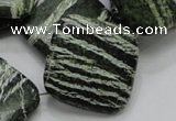 CSJ33 15.5 inches 30*30mm diamond green silver line jasper beads