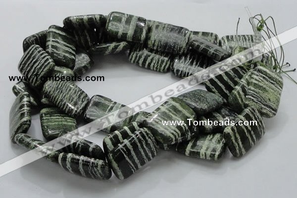 CSJ39 15.5 inches 22*30mm rectangle green silver line jasper beads