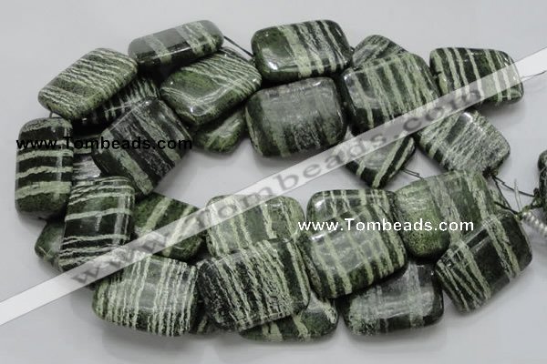 CSJ40 15.5 inches 30*40mm rectangle green silver line jasper beads