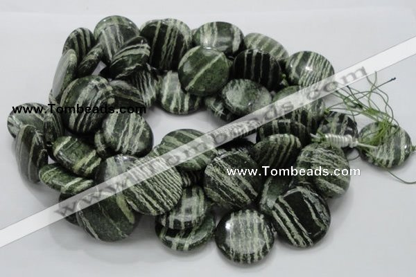 CSJ46 15.5 inches 30mm flat round green silver line jasper beads