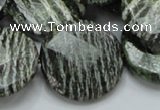 CSJ83 15.5 inches 25mm faceted flat round green silver line jasper beads