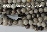 CSL10 15.5 inches 4mm round silver leaf jasper beads wholesale