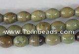 CSL103 15.5 inches 8*10mm rice silver leaf jasper beads wholesale