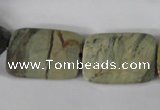 CSL121 15.5 inches 18*25mm faceted rectangle silver leaf jasper beads